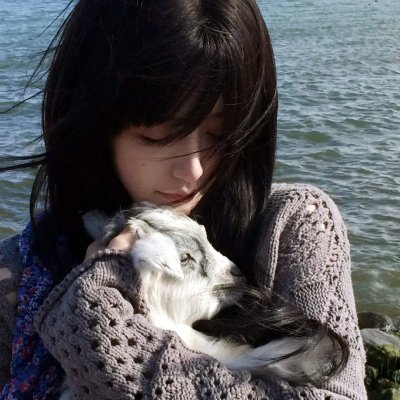 阿亚潘和柯西海报