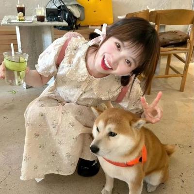 我的家里空无一物海报