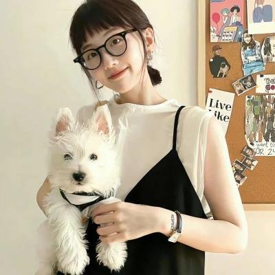 呆萌特务海报